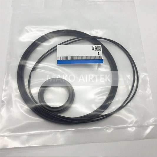 CS1N300A-PS Repair Kit Fits SMC