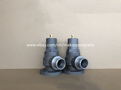 100011542 Pressure Maintain Valve Fits Compair